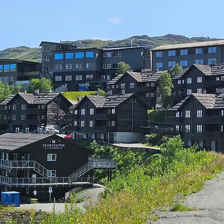 Awesome In With Kitchen Apartamento Hemsedal